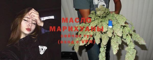 крисы Надым