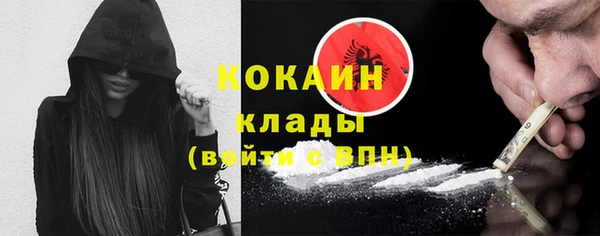 крисы Надым