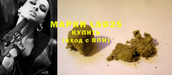 крисы Надым