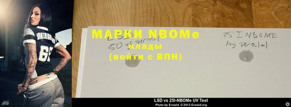крисы Надым