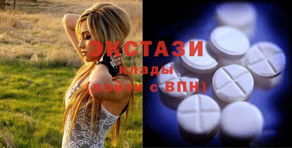 крисы Надым