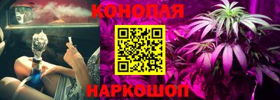 твердый Бийск