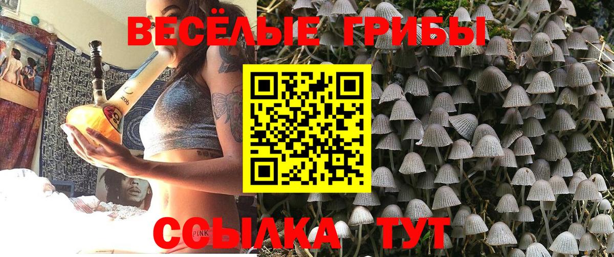 Галлюциногенные грибы Magic Shrooms  Шарыпово  Псилоцибиновые грибы Psilocybine cubensis 