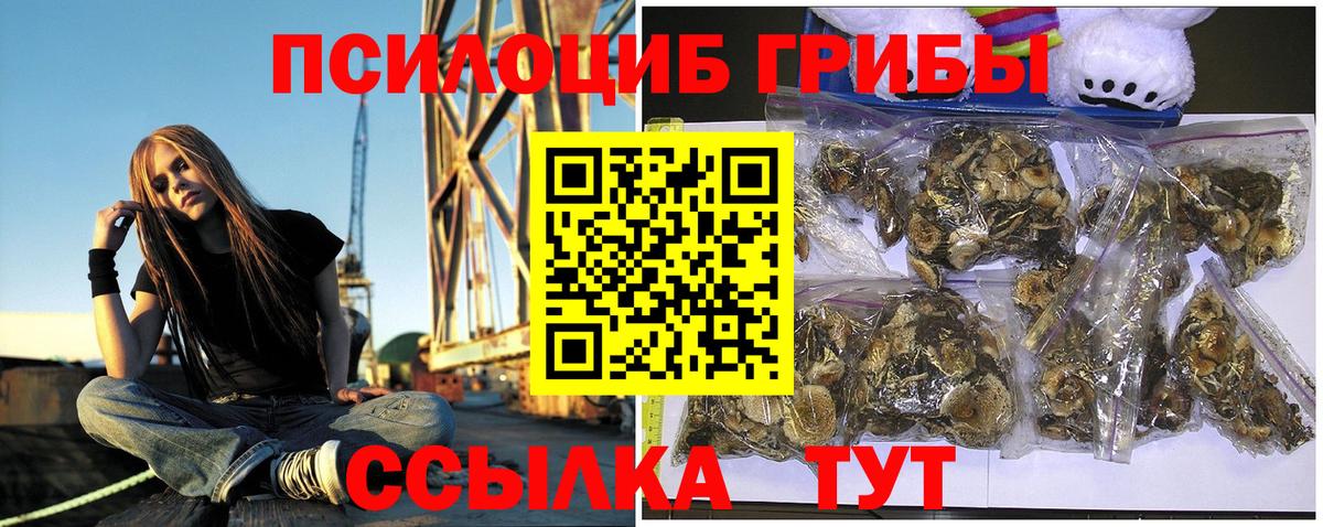 Псилоцибиновые грибы GOLDEN TEACHER  Вход с VPN  Шарыпово 