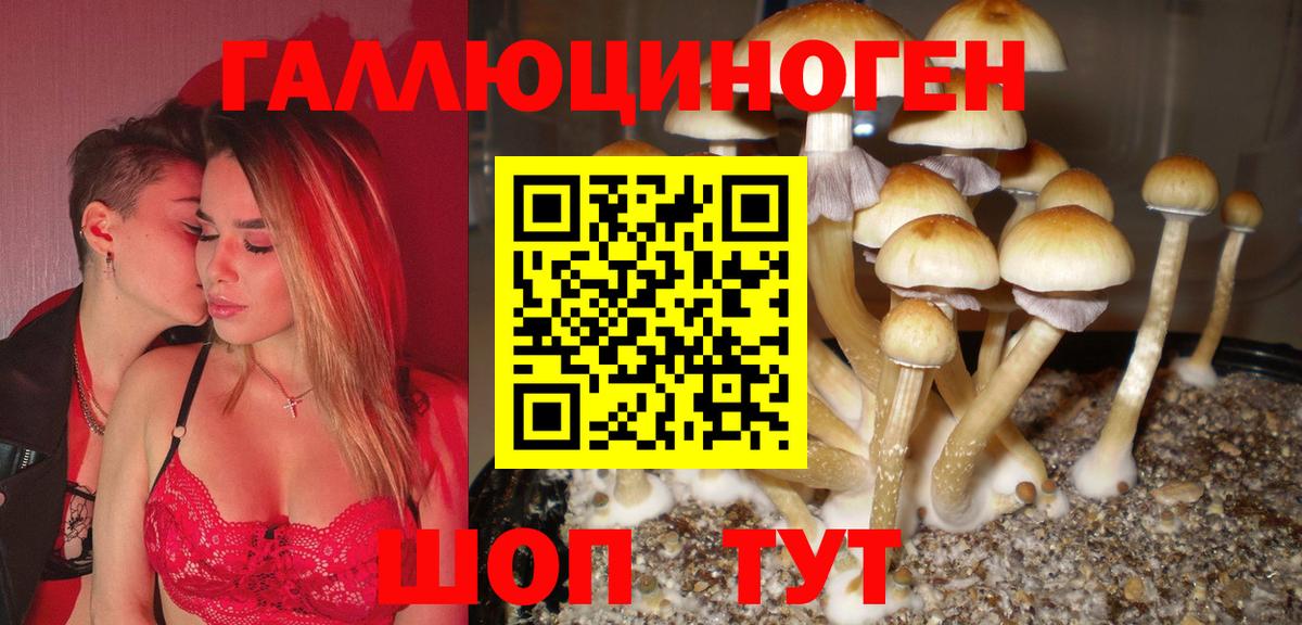 Псилоцибиновые грибы MAGIC MUSHROOMS Шарыпово