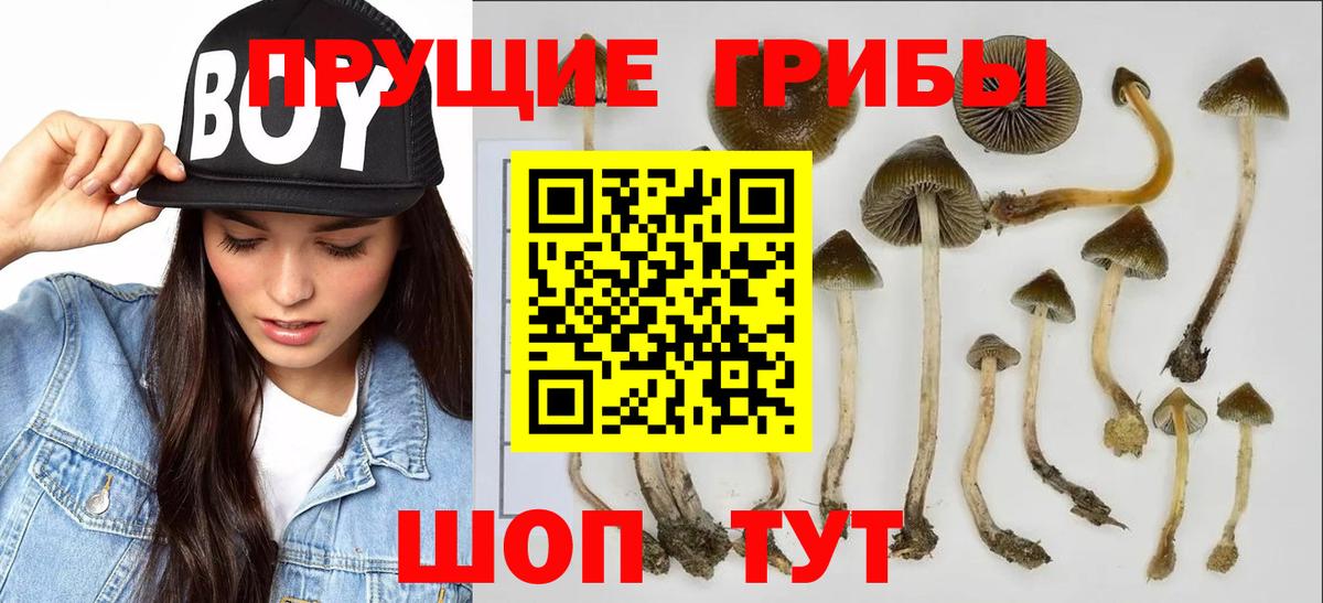 Псилоцибиновые грибы MAGIC MUSHROOMS Шарыпово