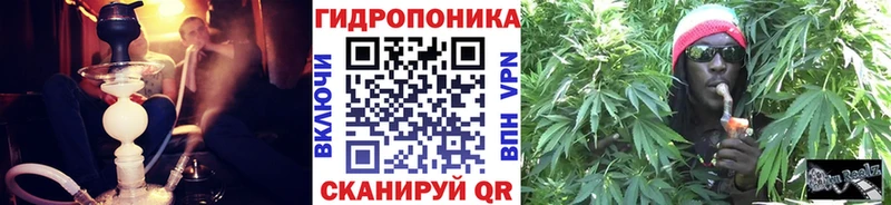 Шишки марихуана индика  Шарыпово 